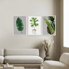 Kit 3 Quadros Decorativos Folhagens Verde Plantas