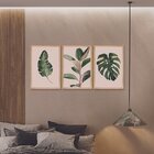 Kit 3 Quadros Decorativos Folhagens Verdes Plantas Natureza
