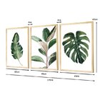 Kit 3 Quadros Decorativos Folhagens Verdes Plantas Natureza