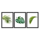 Kit 3 Quadros Decorativos Folhas