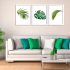 Kit 3 Quadros Decorativos Folhas