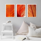 Kit 3 Quadros Decorativos Folhas Alaranjadas 45x34cm Moldura: