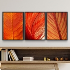 Kit 3 Quadros Decorativos Folhas Alaranjadas 45x34cm Moldura: