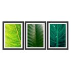 Kit 3 Quadros Decorativos Folhas Em Tons De Verde