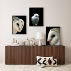 Kit 3 Quadros Decorativos Fotografias Corujas Brancas 45x34cm
