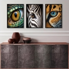 Kit 3 Quadros Decorativos Fotografias Olhos De Animais 45x34c