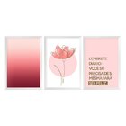 Kit 3 Quadros Decorativos Frase Flor Felicidade Degradê