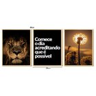 Kit 3 Quadros Decorativos Frase Motivação Leão