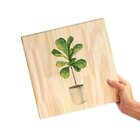 Kit 3 Quadros Decorativos Frases Fé Gratidão Plantas Sala