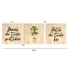 Kit 3 Quadros Decorativos Frases Fé Gratidão Plantas Sala