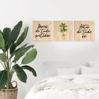 Kit 3 Quadros Decorativos Frases Fé Gratidão Plantas Sala