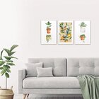 Kit 3 Quadros Decorativos Laranjas E Folhagens Verdes