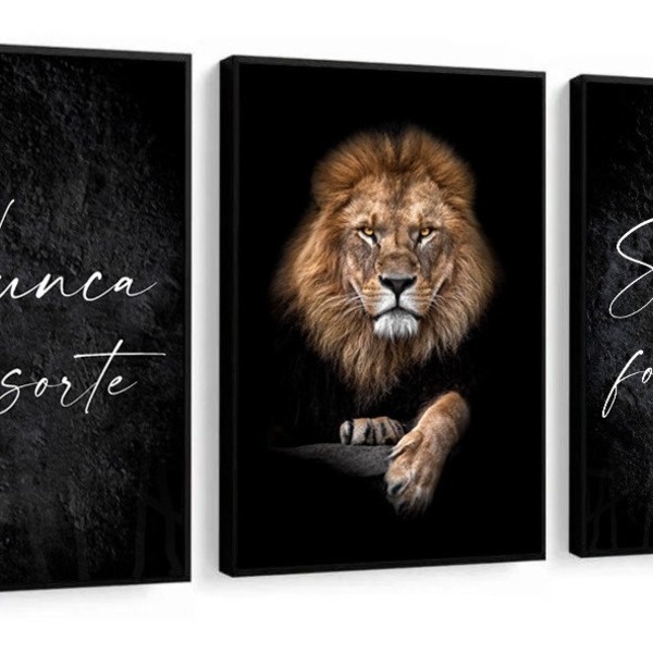 Kit 3 Quadros Decorativos Leão Frase Nunca Foi Sorte P Sala 6