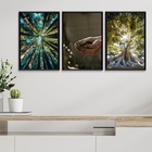 Kit 3 Quadros Decorativos Mãe Natureza 24x18cm - Com Vidro Mo