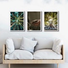 Kit 3 Quadros Decorativos Mãe Natureza 45x34cm - Com Vidro Mo