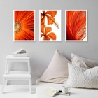 Kit 3 Quadros Decorativos Modernos Flores Laranjas 33x24cm Mo
