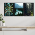 Kit 3 Quadros Decorativos Natureza- Florestas 45x34cm Moldura