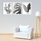 Kit 3 Quadros Decorativos Natureza Preto E Branco