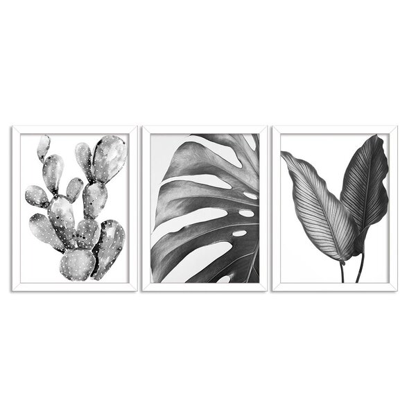 Kit 3 Quadros Decorativos Natureza Preto E Branco