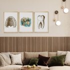 Kit 3 Quadros Decorativos Para Sala Consultório Dentista