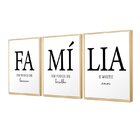 Kit 3 Quadros Decorativos Para Sala Família Composição Trio L