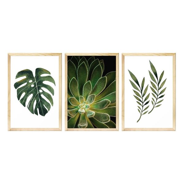 Kit 3 Quadros Decorativos Plantas Folhagens Sala