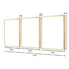 Kit 3 Quadros Decorativos Plantas Moderno Boho Moldura Pinus