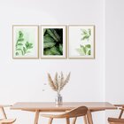 Kit 3 Quadros Decorativos Verde Natureza Folhagem