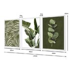 Kit 3 Quadros Decorativos Verde Natureza Folhagens