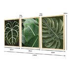 Kit 3 Quadros Decorativos Verde Paisagem Folhagem Planta
