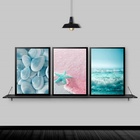 Kit 3 Quadros Estrela Do Mar Rosa E Azul 45x34cm Moldura:made