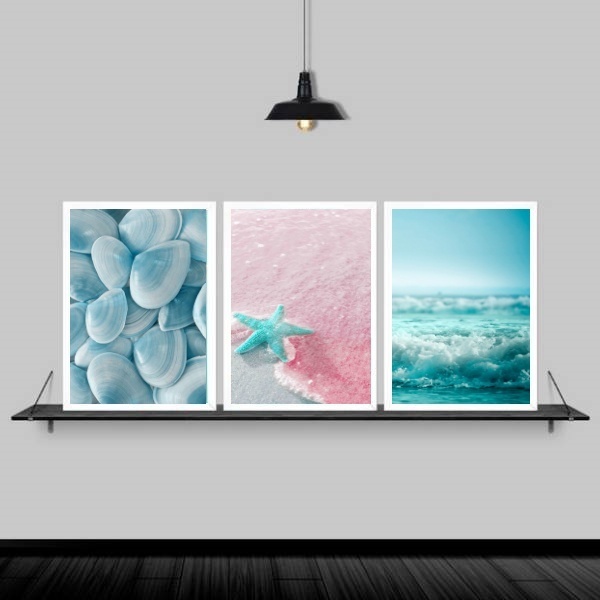 Kit 3 Quadros Estrela Do Mar Rosa E Azul 45x34cm Moldura:made