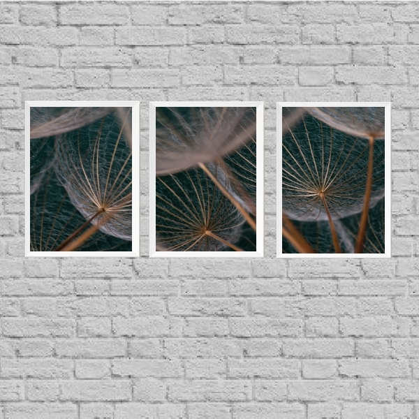 Kit 3 Quadros Flor Dente De Leão 24x18cm - Com Vidro Moldura: