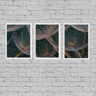 Kit 3 Quadros Flor Dente De Leão 33x24cm - Com Vidro Moldura: