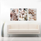 Kit 3 Quadros Flores Rosa Com Branco