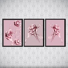 Kit 3 Quadros Flores Rosas Tinta 45x34cm Moldura:madeira Bran