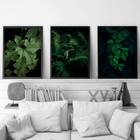 Kit 3 Quadros Folhagens 24x18cm Moldura:madeira Preta