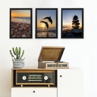 Kit 3 Quadros Fotografia Praia Por Do Sol Golfinhos 45x34cm -