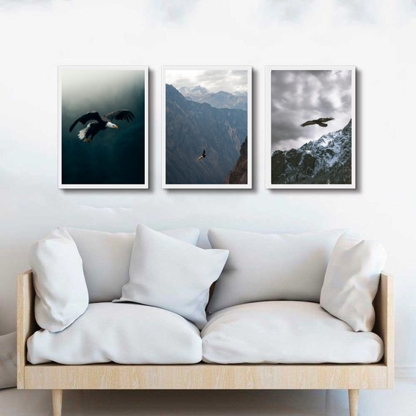 Kit 3 Quadros Fotografias Águias Voando 45x34cm - Com Vidro M