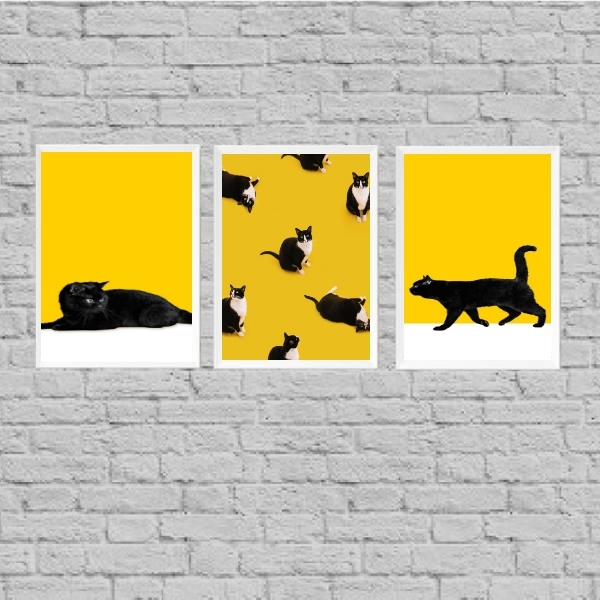 Kit 3 Quadros Gato Preto E Amarelo 45x34cm - Com Vidro Moldur