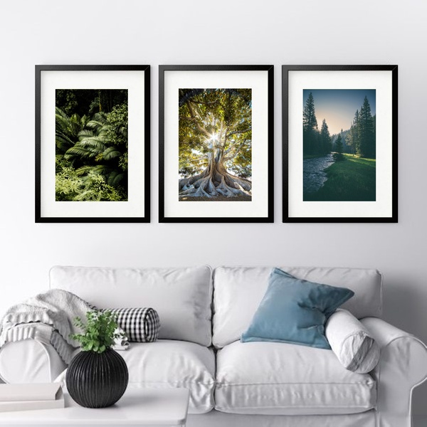 Kit 3 Quadros Grandes Árvores - 60x48cm Moldura Branca