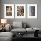 Kit 3 Quadros Grandes Dentes De Leão - 60x48cm Moldura Branca