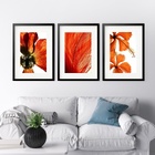 Kit 3 Quadros Grandes Orange - 60x48cm Moldura Branca