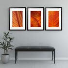 Kit 3 Quadros Grandes Orange Leafs 60x48cm Moldura Preta