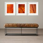 Kit 3 Quadros Grandes Orange Leafs 60x48cm Moldura Preta