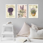 Kit 3 Quadros Lavanda Francesa Provence 45x34cm - Com Vidro M