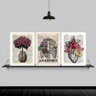 Kit 3 Quadros Medicina Anatomia Flores 33x24cm Moldura:madeir