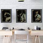 Kit 3 Quadros Místicos Animais Egípcios 45x34cm Moldura:madei