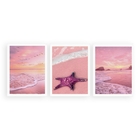 Kit 3 Quadros Natureza Praia Rosa 24x18cm Moldura:madeira Pre