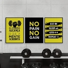 Kit 3 Quadros O Corpo Alcança O Que A Mente Acredita 24x18cm